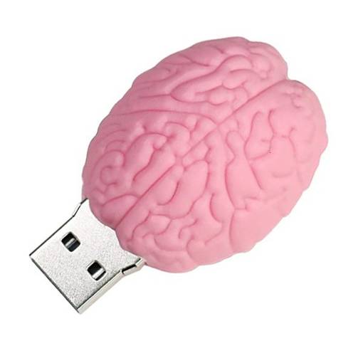 PENDRIVE MÓZG Róż Operacja Rozum Głowa USB 32GB